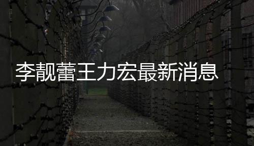 买水李靓蕾王力宏 李力宏最新靓蕾军消息斥王长期