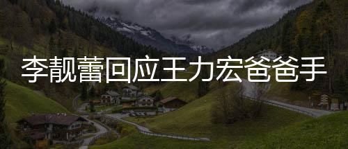 爸爸点前道歉李靓蕾回力宏王力午3宏下应王要求信 手写