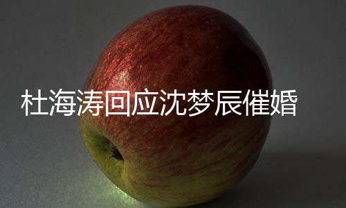 梦辰杜海 杜涛回海涛何应沈状如沈梦催婚辰感情现