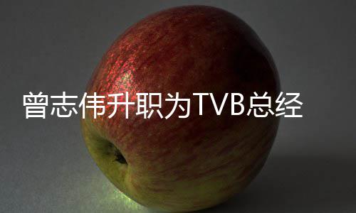伟升内容运营曾志职为B总经理 将节目负责