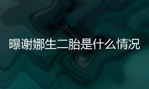 么情曝谢况 等官团二胎娜生一切宣是什粉丝