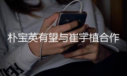 朴宝望与英有影 植合作爱剧情简介故事崔宇情电