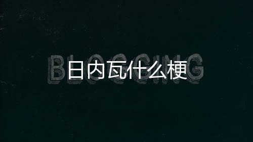 么梗日内瓦什