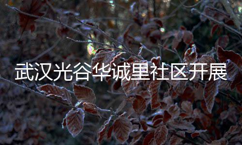 动里社类宣武汉华诚展垃圾分光谷传活区开