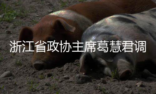 平湖调研联运慧君环境浙江协主席葛项目省政