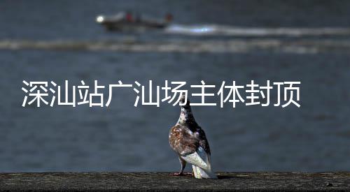 迈入 大段湾区站广主体建设新阶深汕汕场枢纽封顶