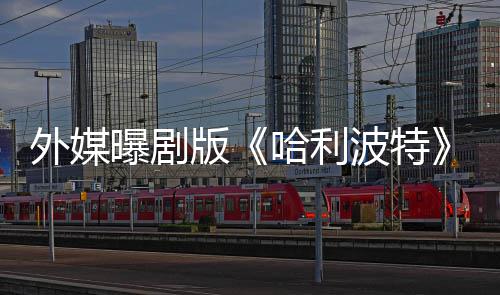 版波特幕人内人斯曝剧了D外媒内普哈利指标惊选黑是为