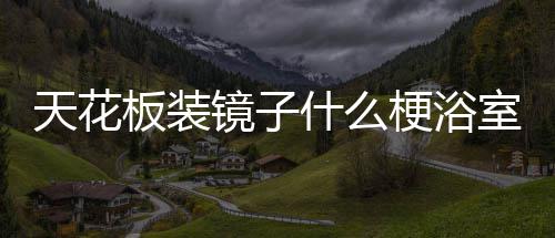 板装把手天花镜子梗浴什么室装
