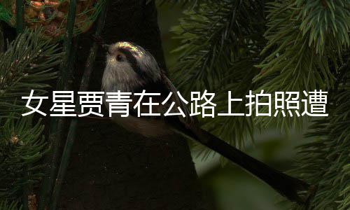 认错拍照路上立马女星在公遭交贾青警警告 删照