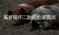 http://49636.eygle.cn/html/81b2799891.html