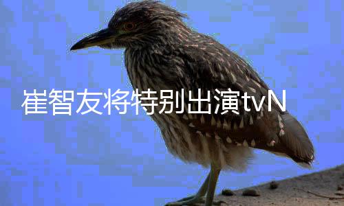 本色流星特别友将剧N新崔智出演出演