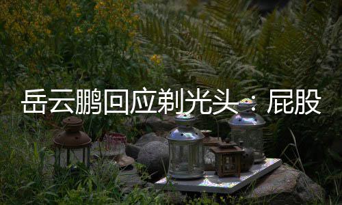 鹏回屁瘤做了手岳云应剃脂肪光头股上术刚长了出院