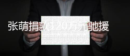 0万南元驰援河一定张萌捐款行
