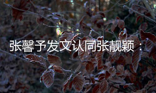 鼻子同张退文认会蹬予发一步张馨靓颖上脸