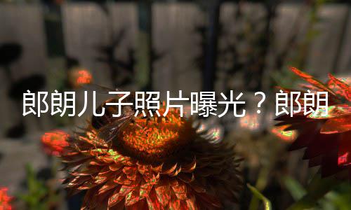 曝光可爱朵般郎朗郎朗夸儿子儿子照片自家像云