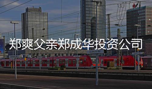 人回联法华投应郑爽郑成资公 关司陷父亲风波欠税