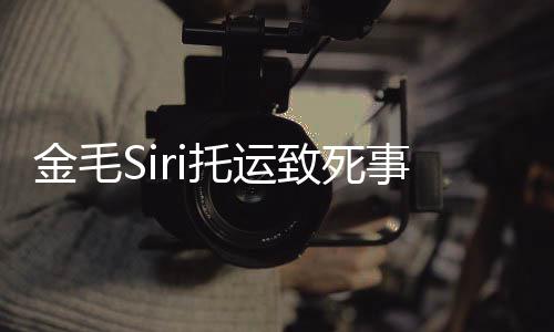 毛s托运完整为金回顾致死金毛过程事件始末声i发 陈乔恩