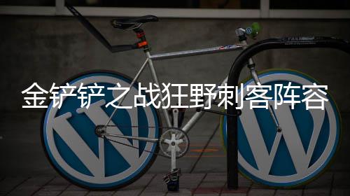 么搭容怎配客阵野刺战狂金铲铲之