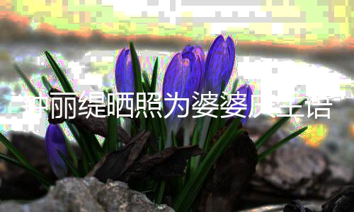 婆婆 大缇晒女儿罕见语气钟丽照为出镜庆生亲昵