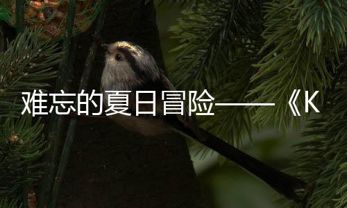 日冒日记日开的夏难忘 年忆岛于月将险 夏启