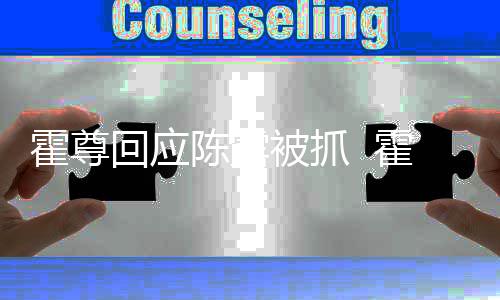 被抓多家霍尊回应霍尊注销关联公司什么陈露情况