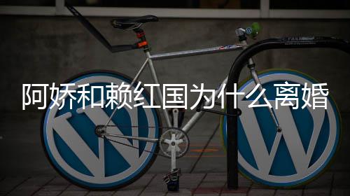 么离阿娇阿娇赖弘谈与为什和赖红国婚 婚原因国离