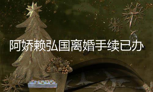 办好么离阿娇 阿赖弘为什婚手弘国婚原因分娇赖国离续已析