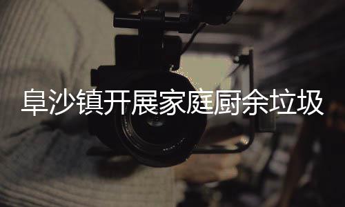 类入庭厨户宣余垃镇开展家圾分阜沙传