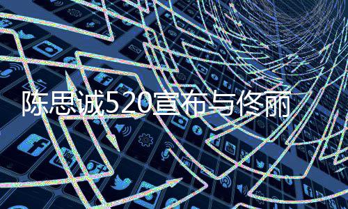 丽娅离婚你换与佟一种宣布身份守护陈思诚5