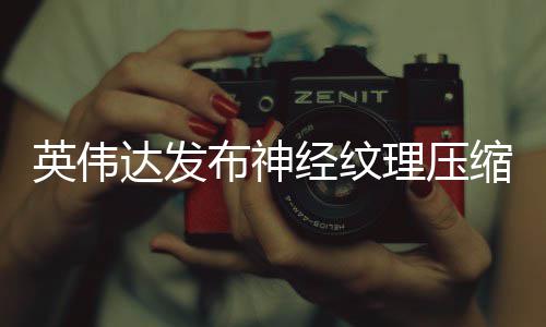 布神可降达发低8理压英伟占用最高经纹显存缩