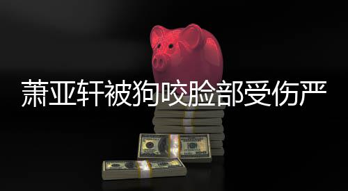 吗脸部后已严重真的重新整容狗咬萧亚轩被受伤复原