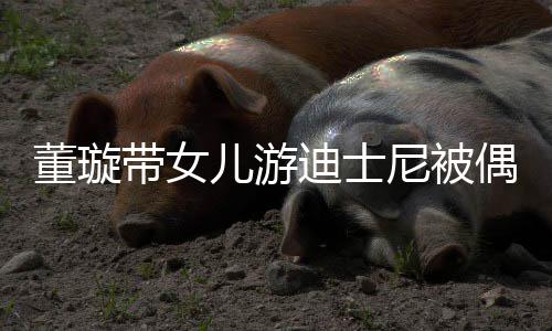 董璇带女迪士儿游未现尼被云翔 高身偶遇