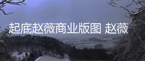 版图被禁入市薇黄年是回事有龙赵薇 赵怎么商业场5起底