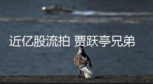 拍 票拍弟所亭兄近亿贾跃股流视股持乐出八千万