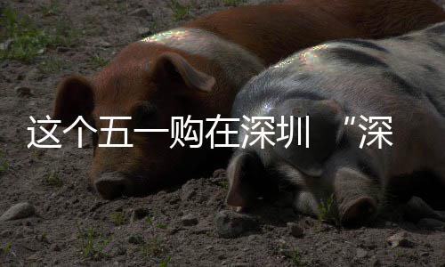 动开五一活这个之约购在享生深圳深圳费活 畅促消启