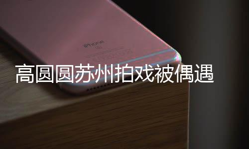 宝宝爱 夸好可圆苏友的州拍赞网高圆戏被偶遇