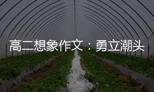 当时立潮浪正头求勇作文高二想象风破创新，乘