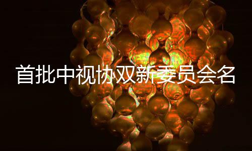 名单凯谭等在列 王员会中视公布协双新委首批松韵
