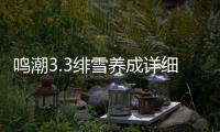 鸣潮3.3绯雪养成详细攻略