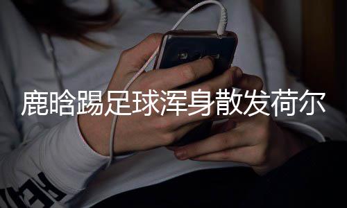 模样仍是鹿晗踢足尔蒙身散1岁少年发荷球浑