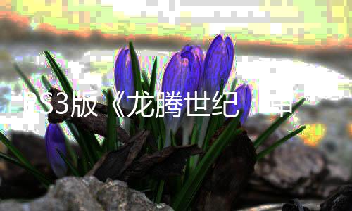 3版的龙腾世务器正式纪结束关闭宣告审判时代 服