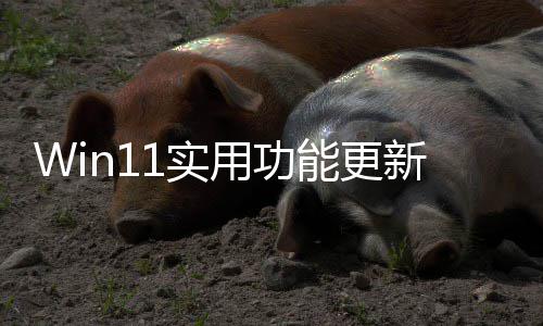 可单独调量能更用功音频终于整音共享新1实
