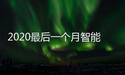 地方投放能垃一个月智已在最后这些圾桶使用
